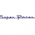 Piper Super Pacer Aircraft ,Sticker 2 1/4''high x 18 1/2''wide!